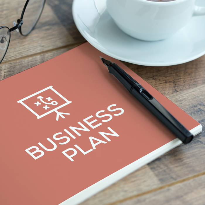 Ecommerce Business Plan